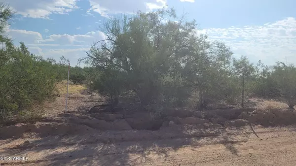 Buckeye, AZ 85326,276 S Cotton Lane #-