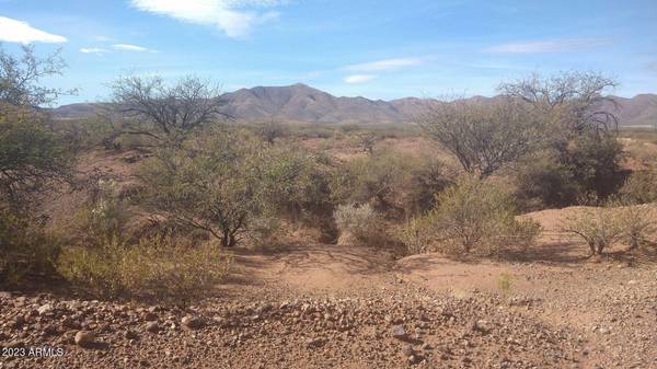 Bisbee, AZ 85603,13 EASY ACRES -- #13