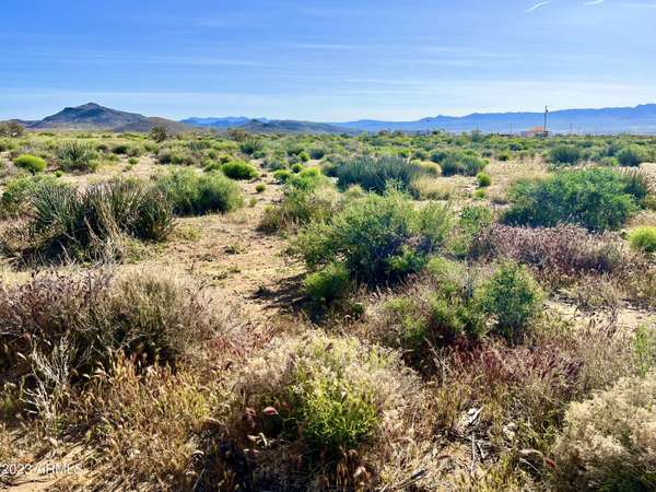 Kingman, AZ 86409,Avenida Ramirez 2.11 Acres -- #348