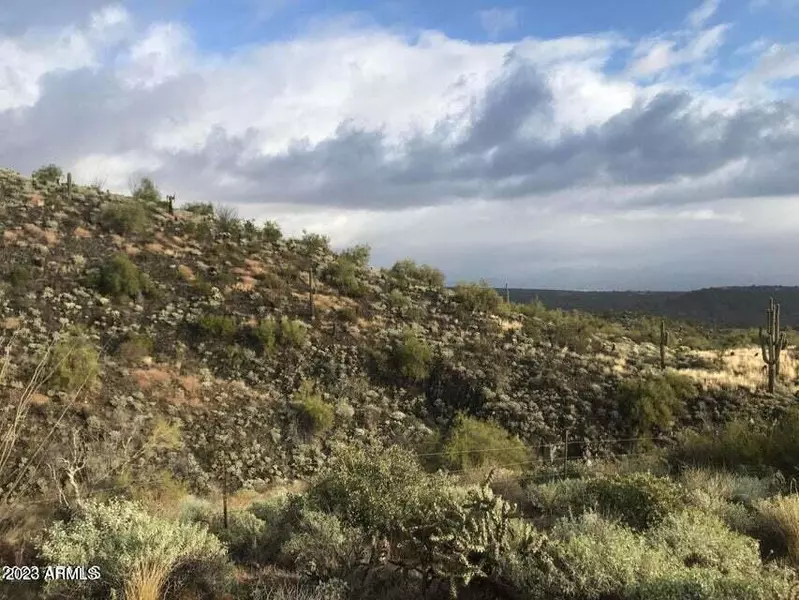14024 E Coyote Way #42, Fountain Hills, AZ 85268