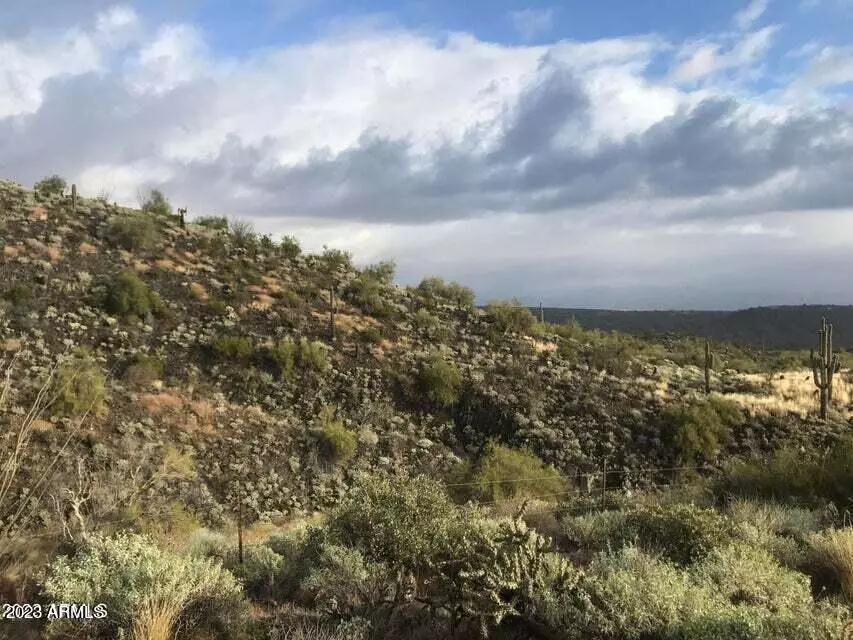 Fountain Hills, AZ 85268,14024 E Coyote Way #42