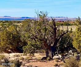 3745 JORDAN  RD 42.74 Acres -- #-, Snowflake, AZ 85937