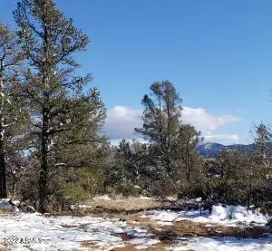 Young, AZ 85554,45 N Ike Clark Parkway #5