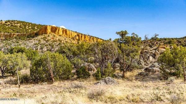 Concho, AZ 85924,Last Mesa Ranch #8 37.07 Acres -- #8