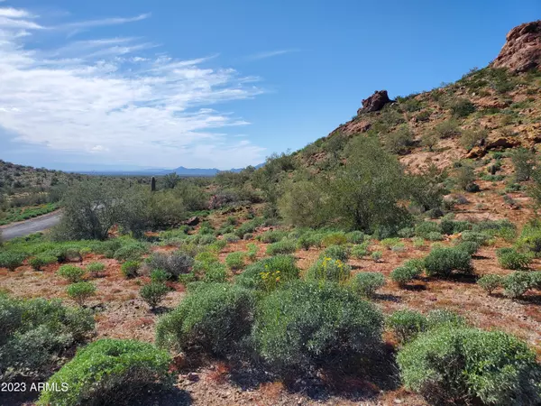 26420 N EL PEDREGAL Circle #19, Queen Creek, AZ 85144