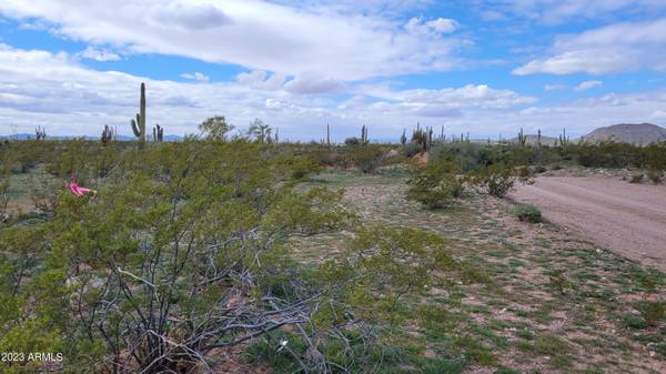 Wittmann, AZ 85361,30399 W Painted Wagon Trail #73