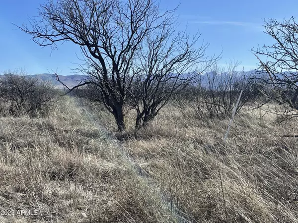 Pearce, AZ 85625,19 S Clovis Road #38