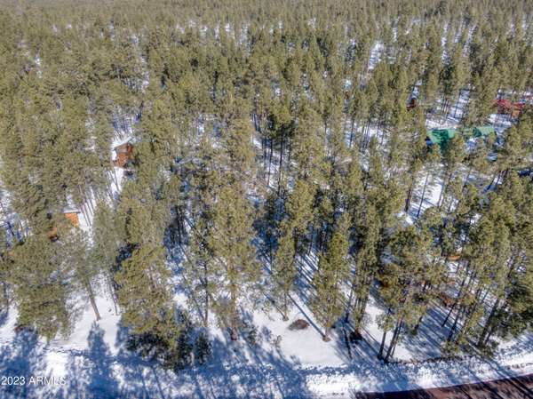 Pinetop, AZ 85935,7184 MOON CREEK Circle #20