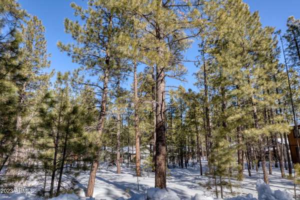 7184 MOON CREEK Circle #20,  Pinetop,  AZ 85935