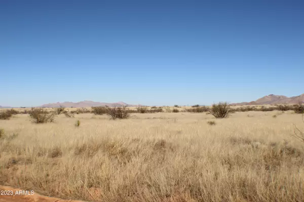 Saint David, AZ 85630,54 S Kino Road #Lot 54