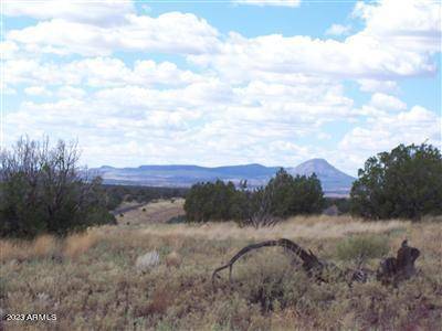 996 W Couchman's Trail #204, Ash Fork, AZ 86320