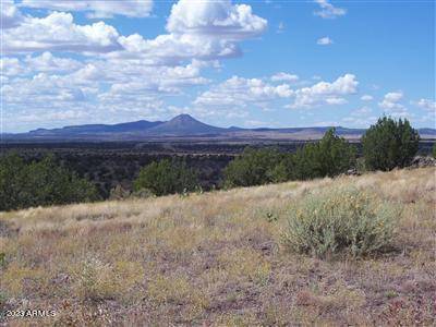 Ash Fork, AZ 86320,996 W Couchman's Trail #204