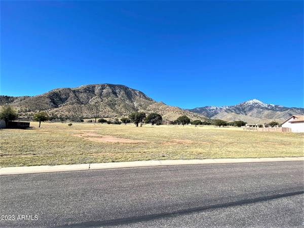 Hereford, AZ 85615,Saddlehorn Circle #63