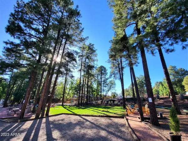 Pinetop, AZ 85935,1023 E WHITE MOUNTAIN Boulevard