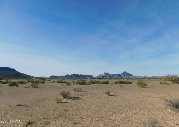 Tonopah, AZ 85354,10009 S 531st Avenue #-