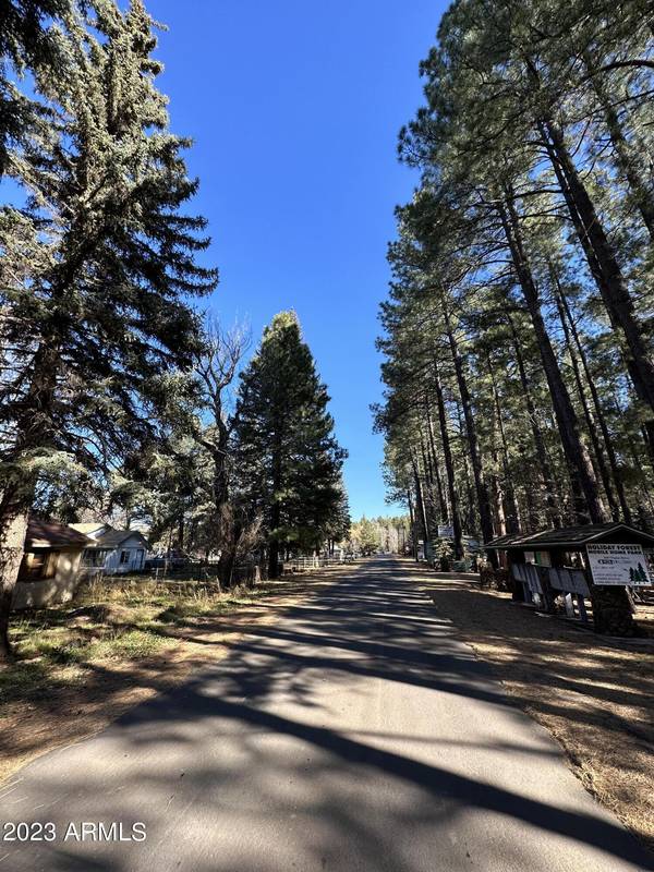 Pinetop, AZ 85935,2516 E POPLAR Drive