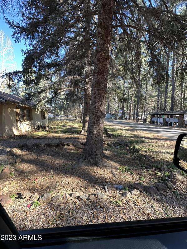 Pinetop, AZ 85935,2516 E POPLAR Drive