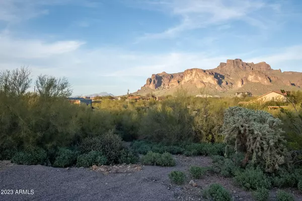 Apache Junction, AZ 85119,4425 E Junction Drive