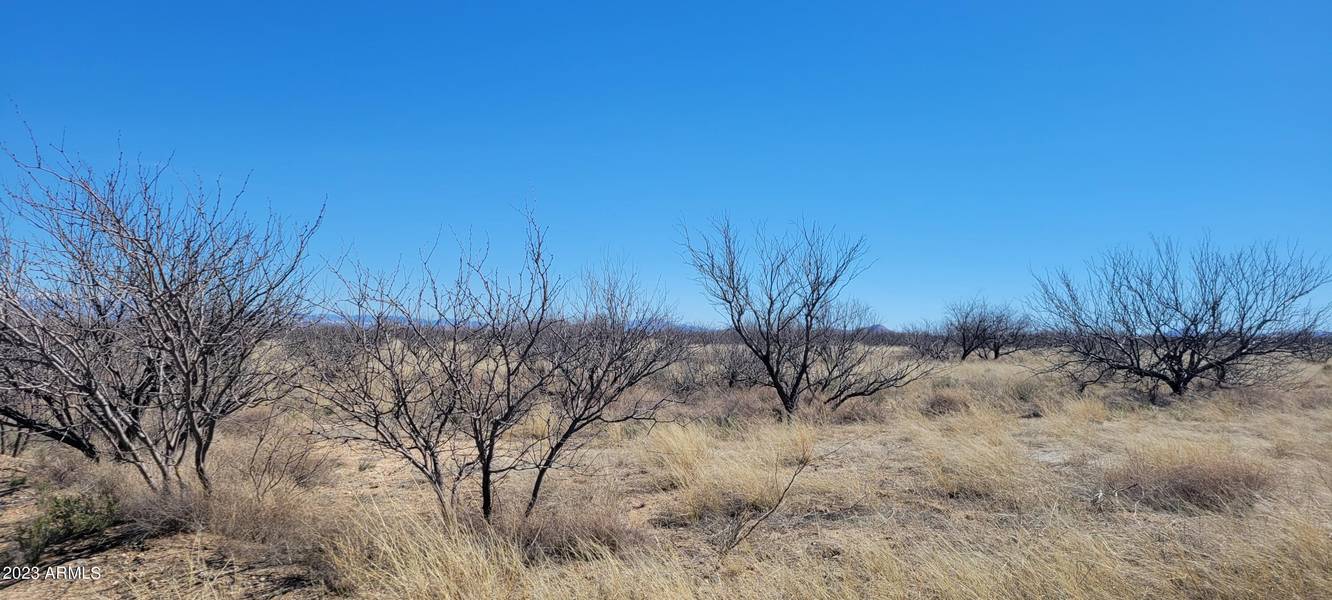 LOT 8 BLOCK 48 -- #8, Pearce, AZ 85625