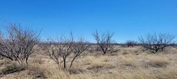 LOT 8 BLOCK 48 -- #8, Pearce, AZ 85625