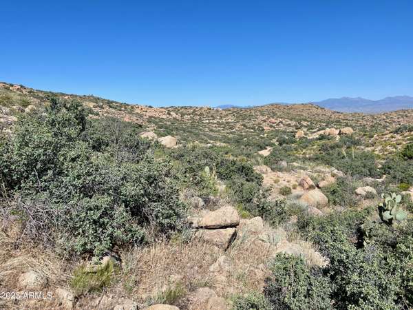 Wikieup, AZ 85360,10000 Granite Basin Road #-