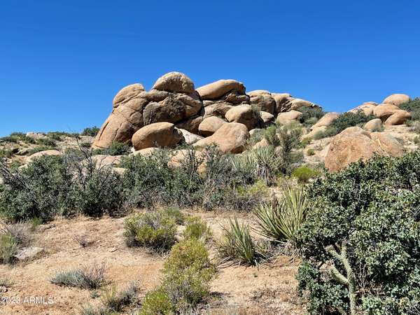 Wikieup, AZ 85360,10000 Granite Basin Road #-