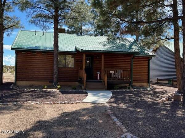 Overgaard, AZ 85933,2670 LODGE Loop