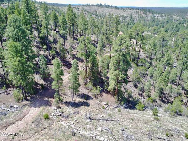 Heber, AZ 85928,1737 Eskimo Lane #-