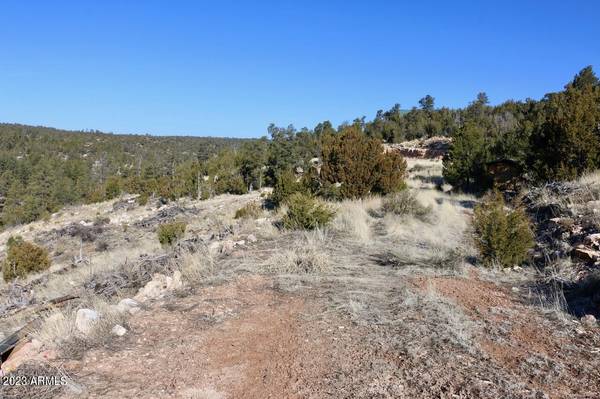 Heber, AZ 85928,1740 ESKIMO Lane #-