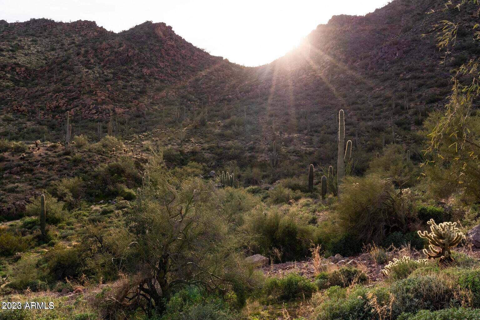 Fountain Hills, AZ 85268,14447 N ADERO CANYON Drive