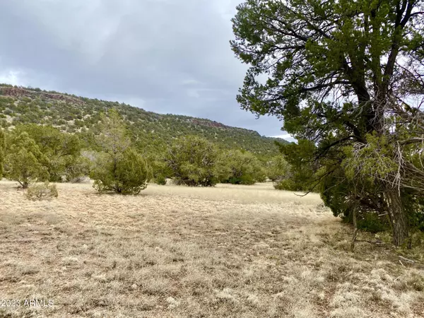 Seligman, AZ 86337,N Lily Mountain Dr 49.64 Acres -- #-