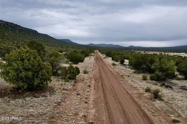 Seligman, AZ 86337,N Lily Mountain Dr 49.64 Acres -- #-