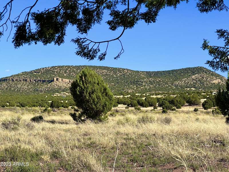 Valley Ranch Lots 16, 26 & 36 -- #-, Concho, AZ 85924