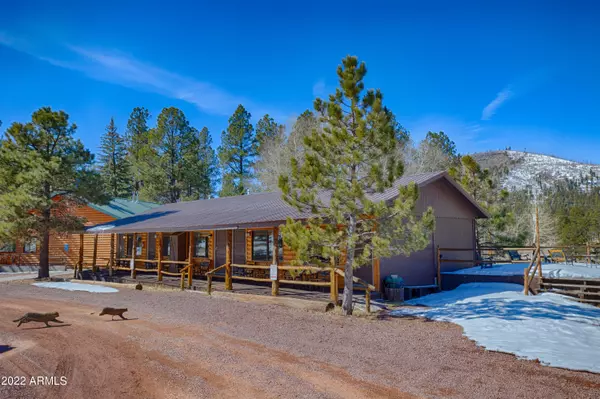 Alpine, AZ 85920,3 E COLORADOS Lane #2036