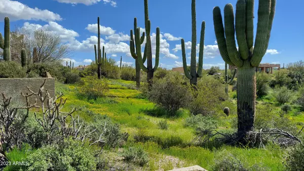 6101 E MAGUAY Road, Cave Creek, AZ 85331