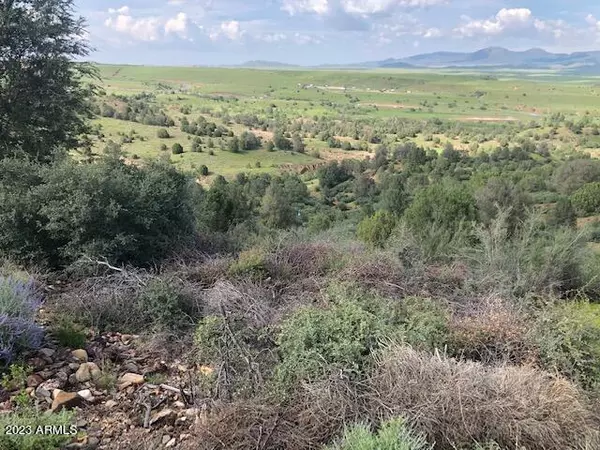 Dewey, AZ 86327,1567 N OVERLOOK Drive #154