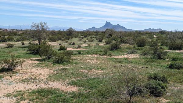 Picacho, AZ 85141,0 S Picacho Highway #-