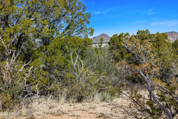 Prescott, AZ 86305,4745 W Sterling Ranch Road #17