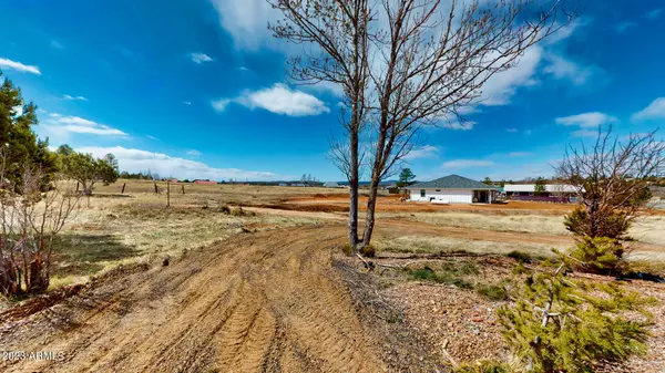 Show Low, AZ 85901,7147 PAIR O DICE Road