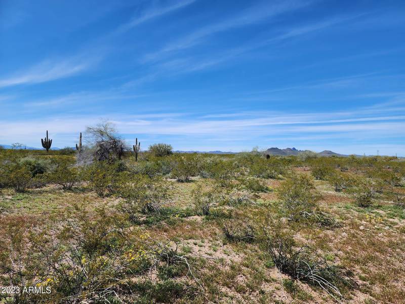 0 W Forest Pleasant Place #230, Wittmann, AZ 85361