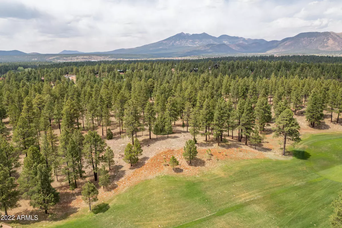 Flagstaff, AZ 86005,3674 S Woodland Hills Drive #380