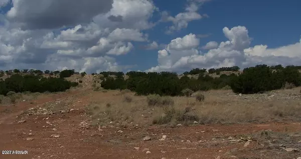 457 Chevelon Canyon Ranch -- #457, Heber, AZ 85928