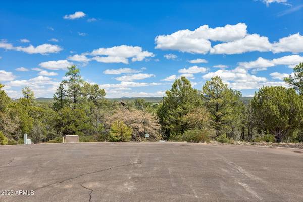 Show Low, AZ 85901,575 E MIDDLE MOUNTAIN Lane #398