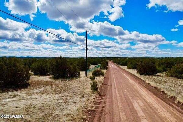 Show Low, AZ 85901,2253 LAGUNA Road #50