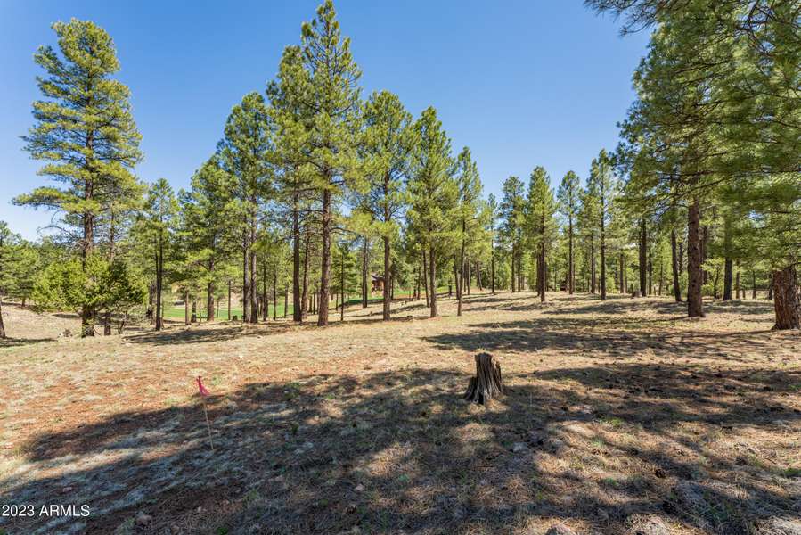 3690 S Woodland Hills Drive #382, Flagstaff, AZ 86005