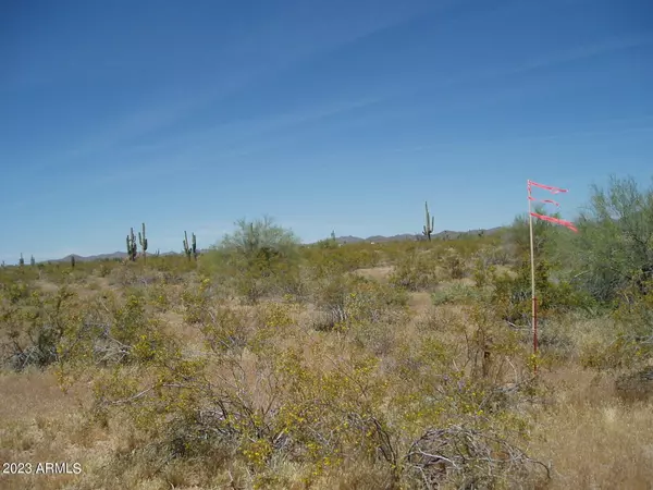 Unincorporated County, AZ 85390,33098 W GALVIN Street #64