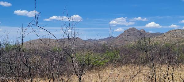 Bisbee, AZ 85603,W Red Mountain Road #37