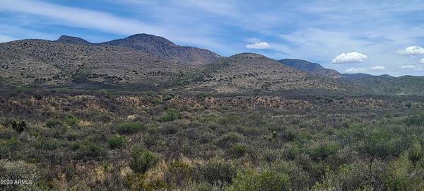 Bisbee, AZ 85603,W Red Mountain Road #37