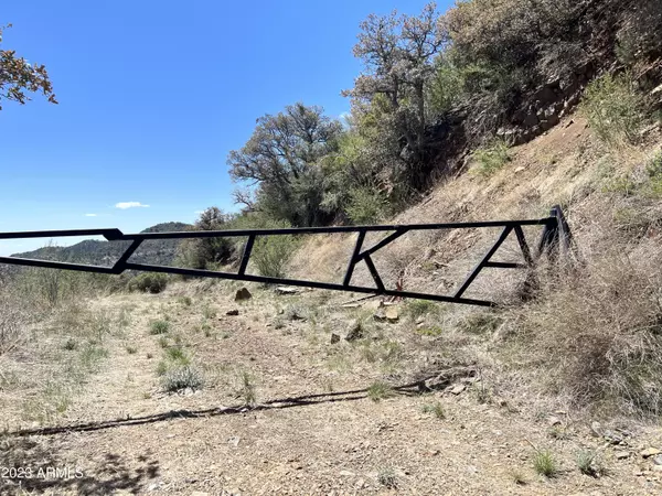 22300 S GLADIATOR MINE Road #-, Crown King, AZ 86343