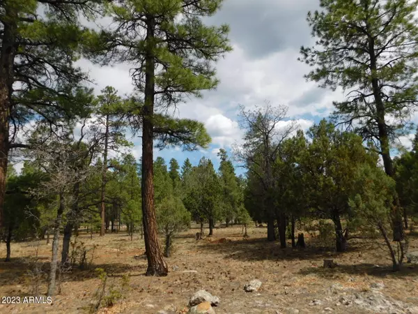 3629 Timberline Drive #25, Happy Jack, AZ 86024